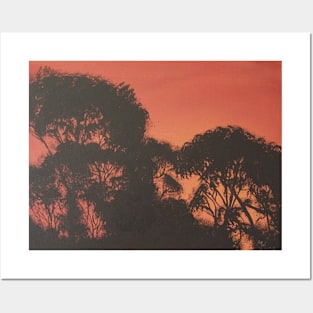 African Gum Trees Posters and Art